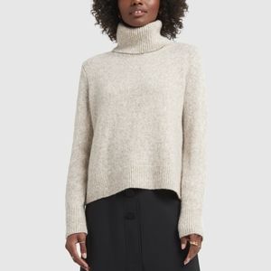 Banana Republic Merino Turtleneck